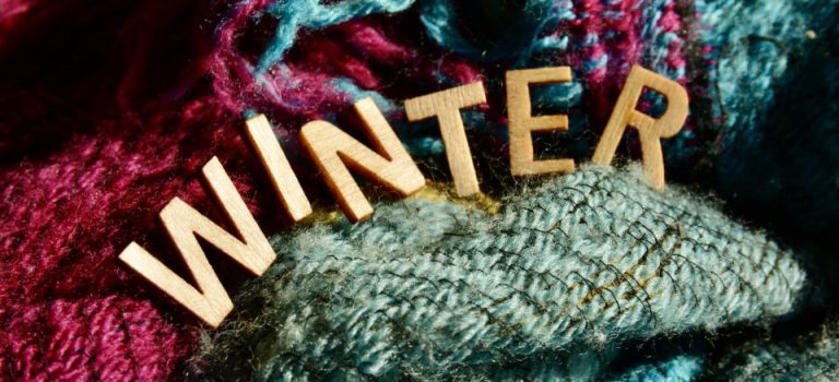 日傘がもたらす快適な夏暮らし紫外線対策と健康そしておしゃれを叶える選び方 日傘がもたらす快適な夏暮らし紫外線対策と健康そしておしゃれを叶える選び方